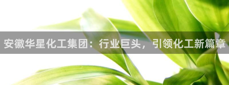 球盟会黑台