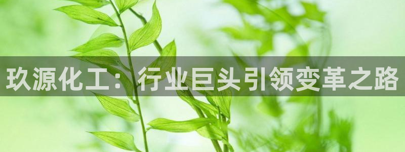 球盟会有没有黑单的球员
