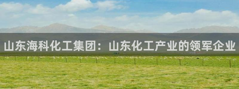 球盟会网页登录入口：山东海科化工集团：山东化工产业的领军企业