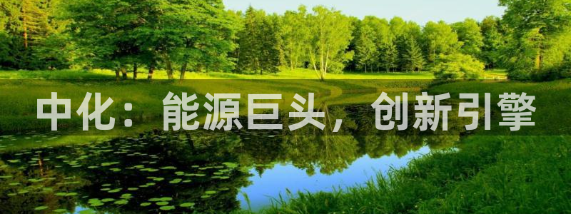 球盟会下款快吗：中化：能源巨头，创新引擎