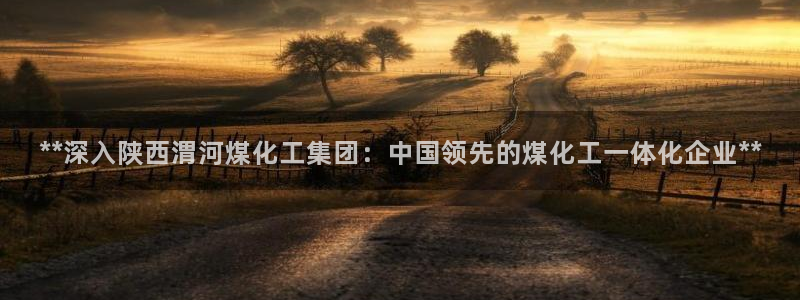 球盟会黑网：**深入陕西渭河煤化工集团：中国领先的煤化工一体