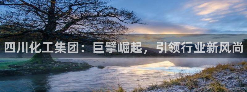 球盟会进不去球员吗