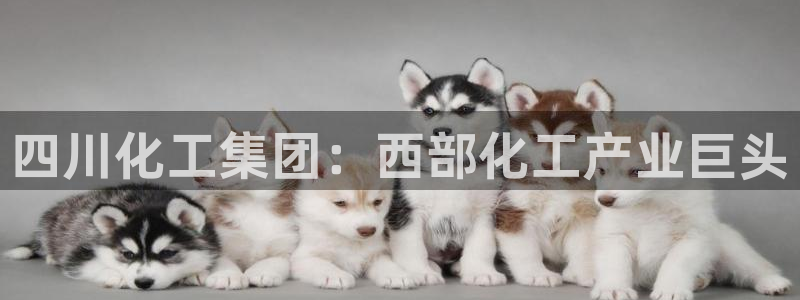 球盟会几点玩合适