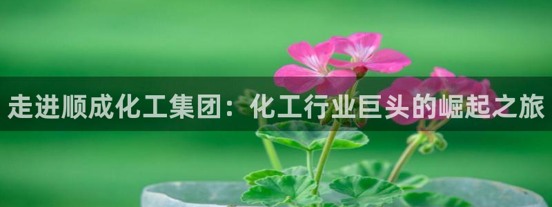 球盟会有没有黑单的活动