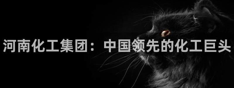 球盟会官方网址入口