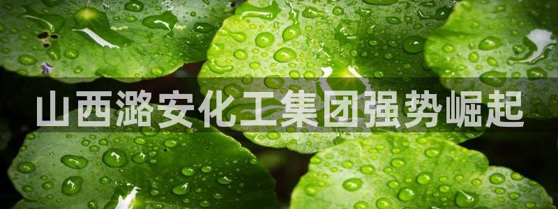 球盟会用的客服聊天是哪个软件