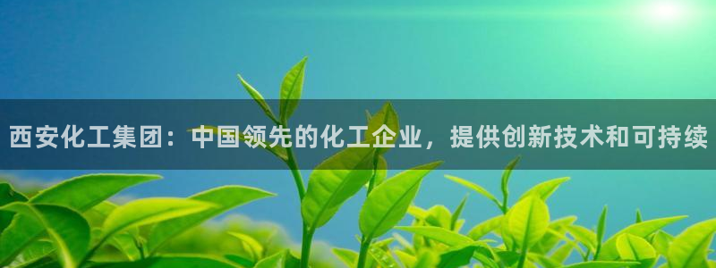 球盟会登录平台：西安化工集团：中国领先的化工企业，提供创新技