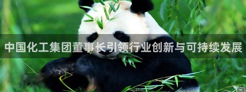 球盟会可以提现么现在：中国化工集团董事长引领行业创新与可持续