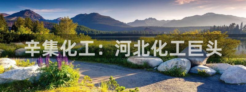 球盟会优惠领取网站：辛集化工：河北化工巨头