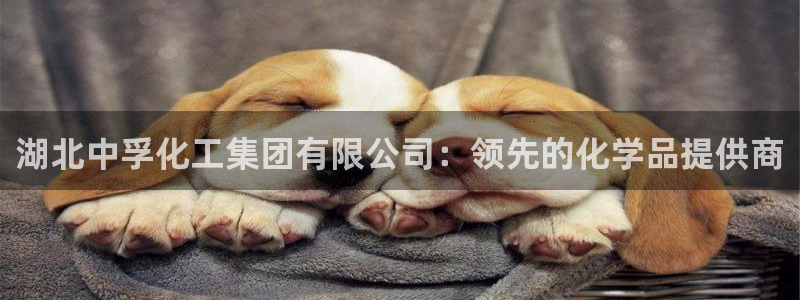 球盟会体育app官方网站：湖北中孚化工集团有限公司：领先的化