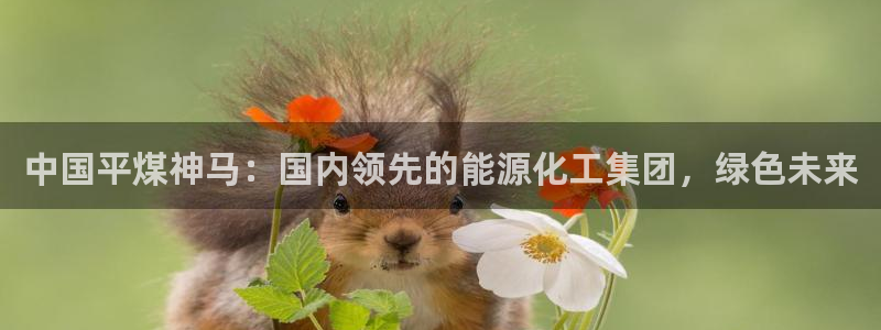 球盟会黑台子吗