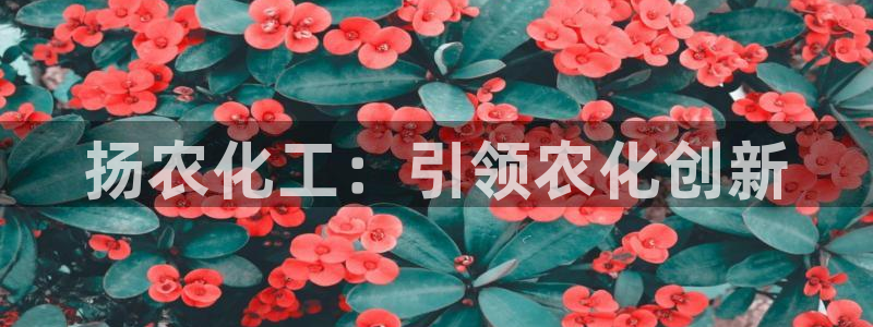 球盟会有没有黑单的