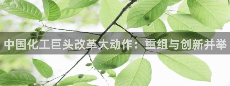 球盟会登陆入口