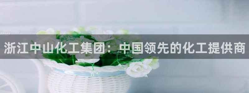 球盟会电子游戏平台