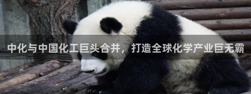球盟会网页登录app下载地址