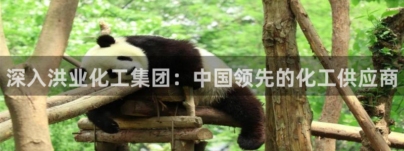 球盟会(中国)官方网站