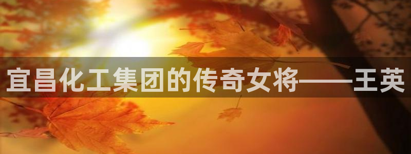 球盟会黑钱