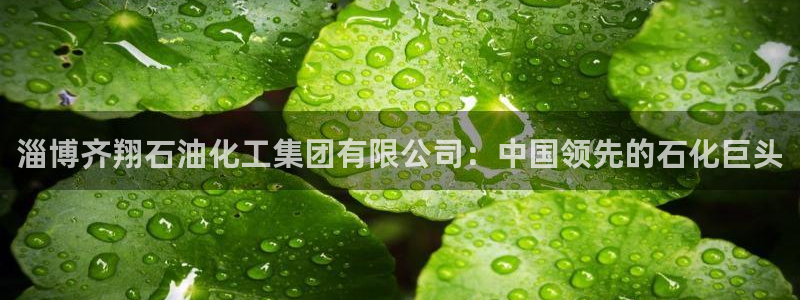 球盟会优惠券