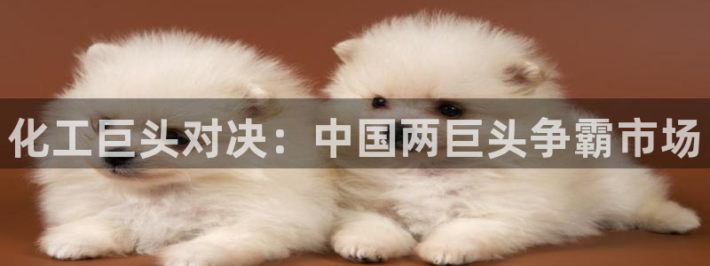 球盟会app网址多少号