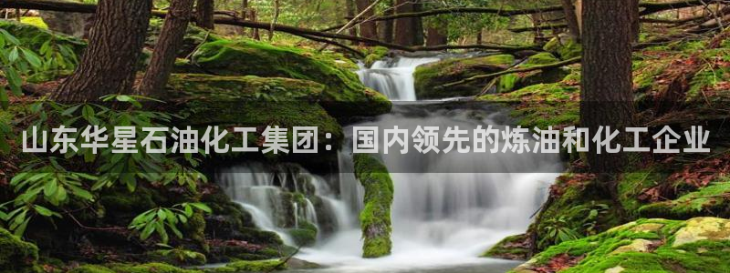 球盟会入口