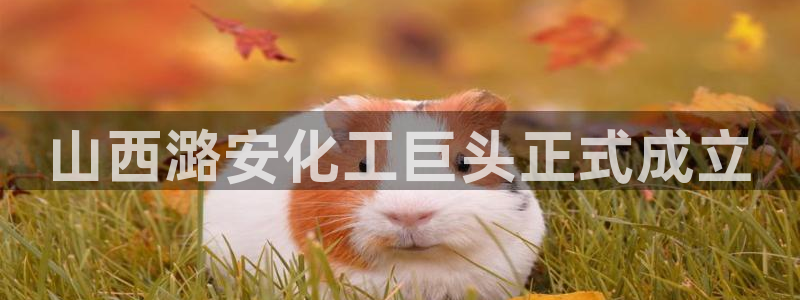 球盟会官方网址入口