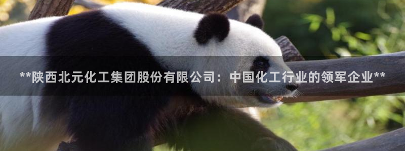 球盟会官方网页登录