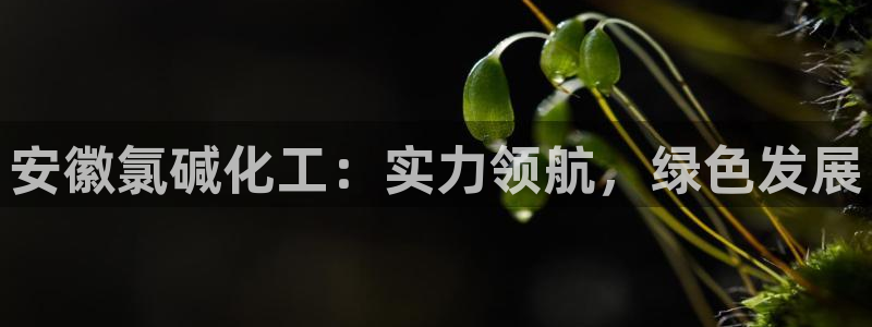 球盟会优惠领取网站是真的吗