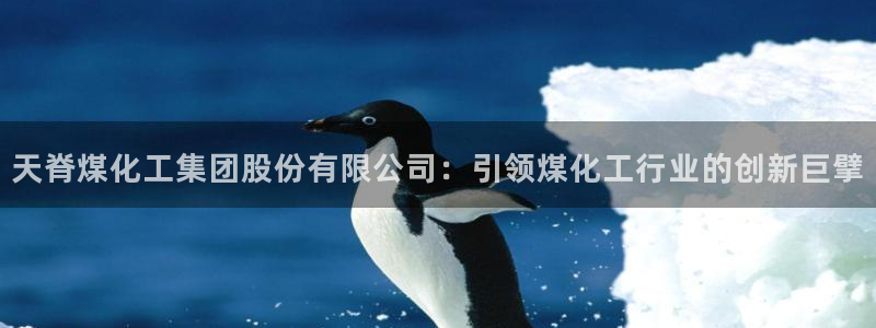 球盟会官方下载