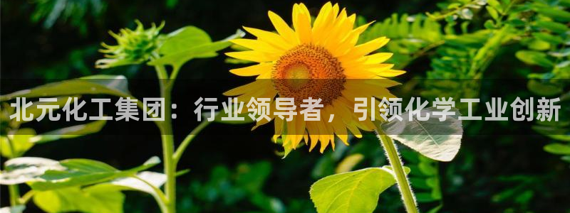 球盟会平台会黑单吗