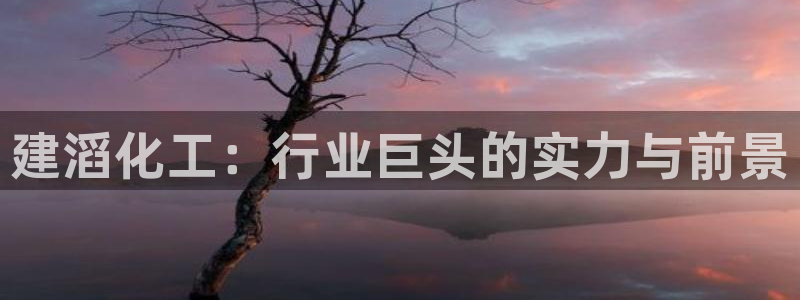 球盟会吧