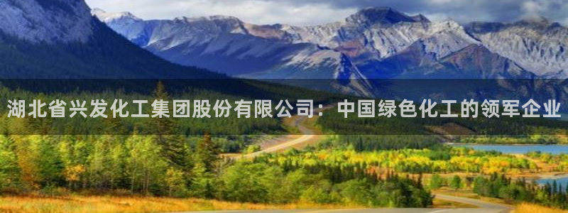 球盟会官方版下载地址