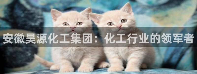 球盟会里面有打牌的嘛是真的吗
