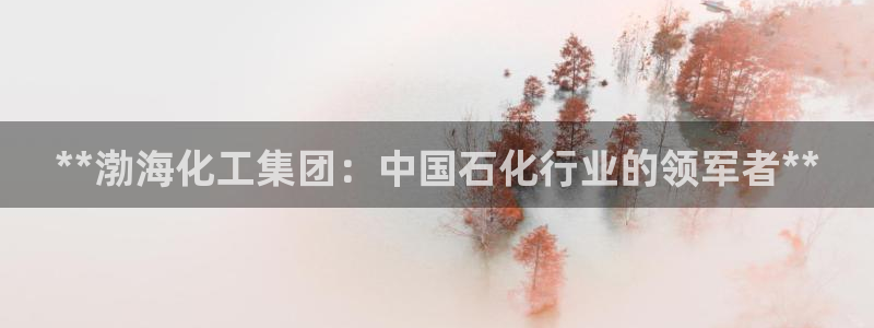 球盟会最新地址备用