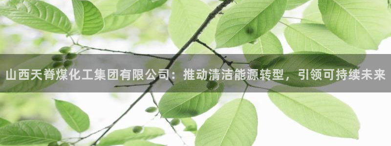 球盟会优惠领取网站是真的吗