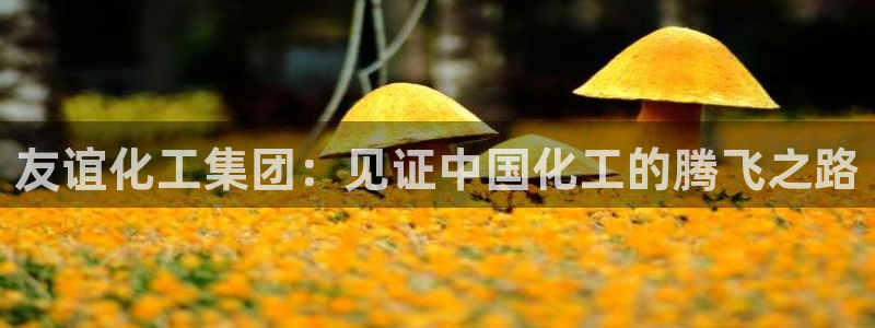 球盟会官方网页登录