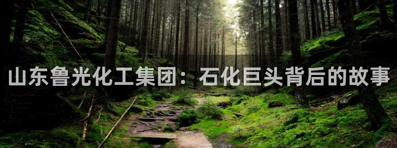 球盟会qmh