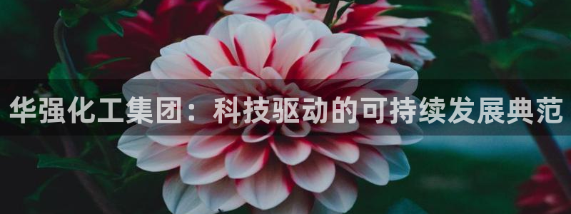 球盟会app最新地址在哪找