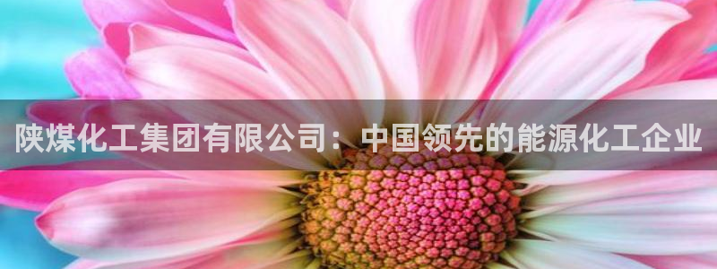 球盟会黑嘛