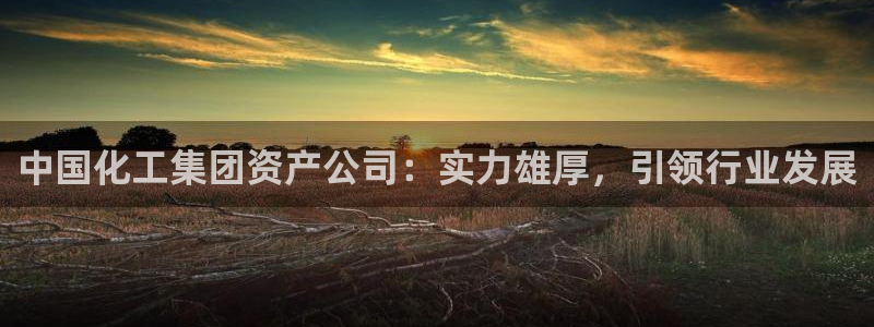 球盟会论坛