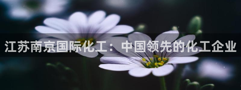 球盟会qm9