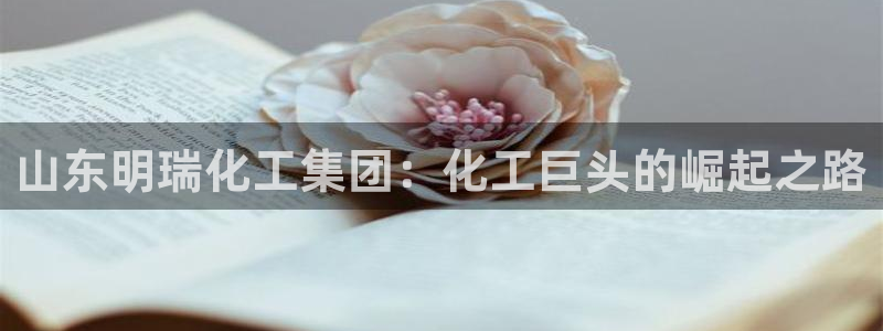 球盟会官网网页版