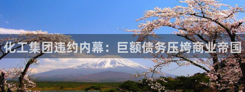 球盟会入口