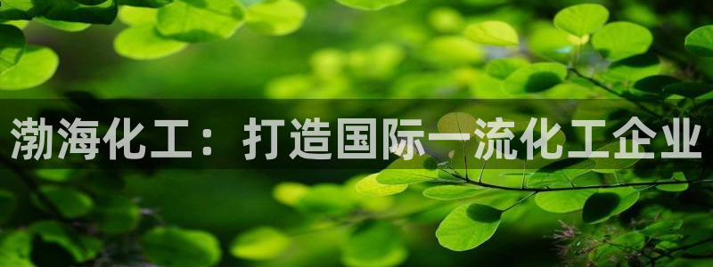 球盟会黑款吗知乎文章：渤海化工：打造国际一流化工企业