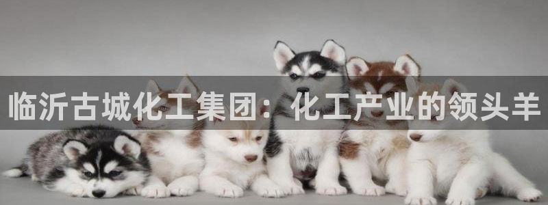 球盟会官方app首页入口