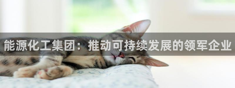 球盟会黑平台