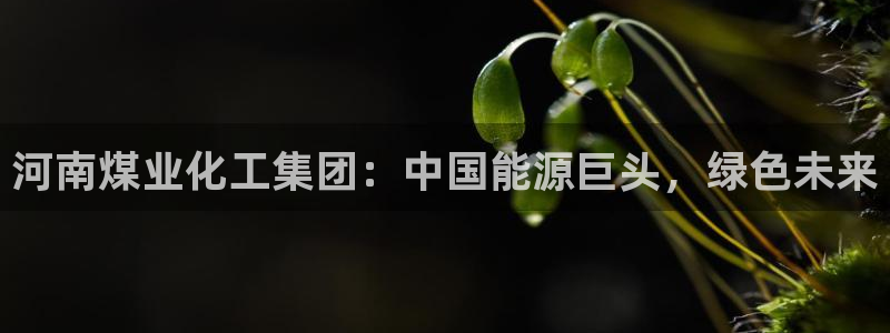 球盟会登陆中心：河南煤业化工集团：中国能源巨头，绿色未来