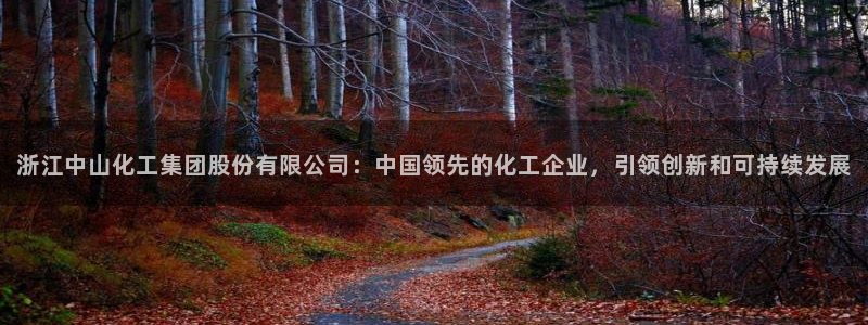 球盟会在线网站：浙江中山化工集团股份有限公司：中国领先的化工