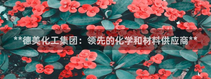 球盟会连接：**德美化工集团：领先的化学和材料供应商**