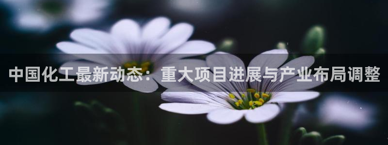 球盟会头号玩家是谁