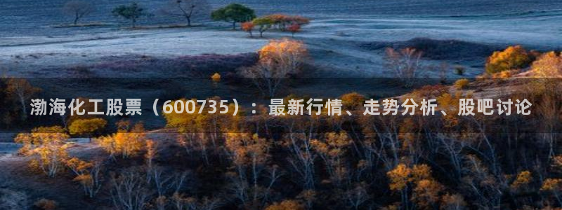 球盟会黑台子